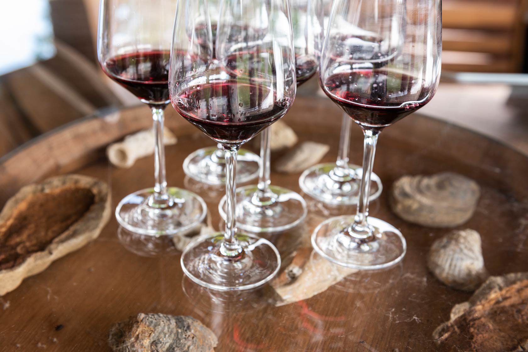 Vinchio Vaglio Experience - Image 3