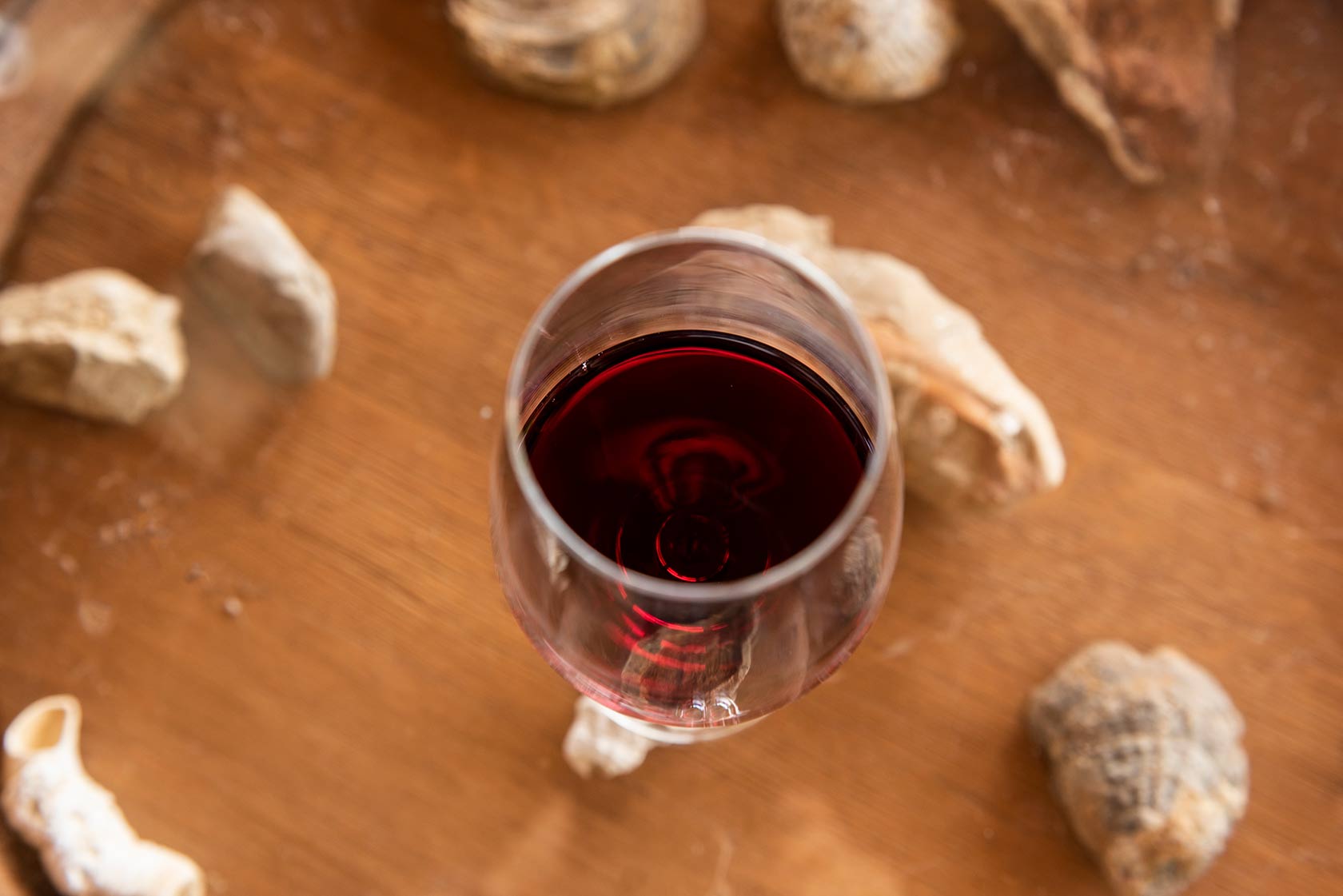 Vinchio Vaglio discovery tasting - Image 6