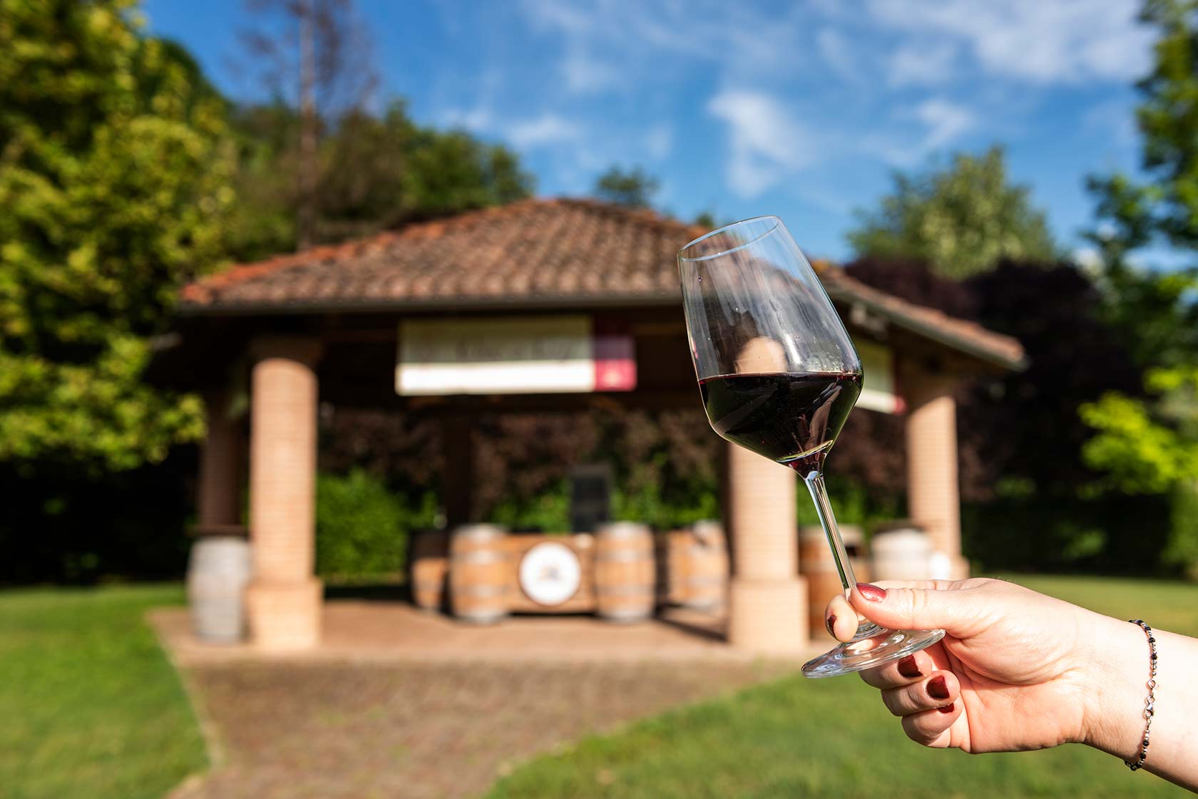 Barbera Flight - Image 10