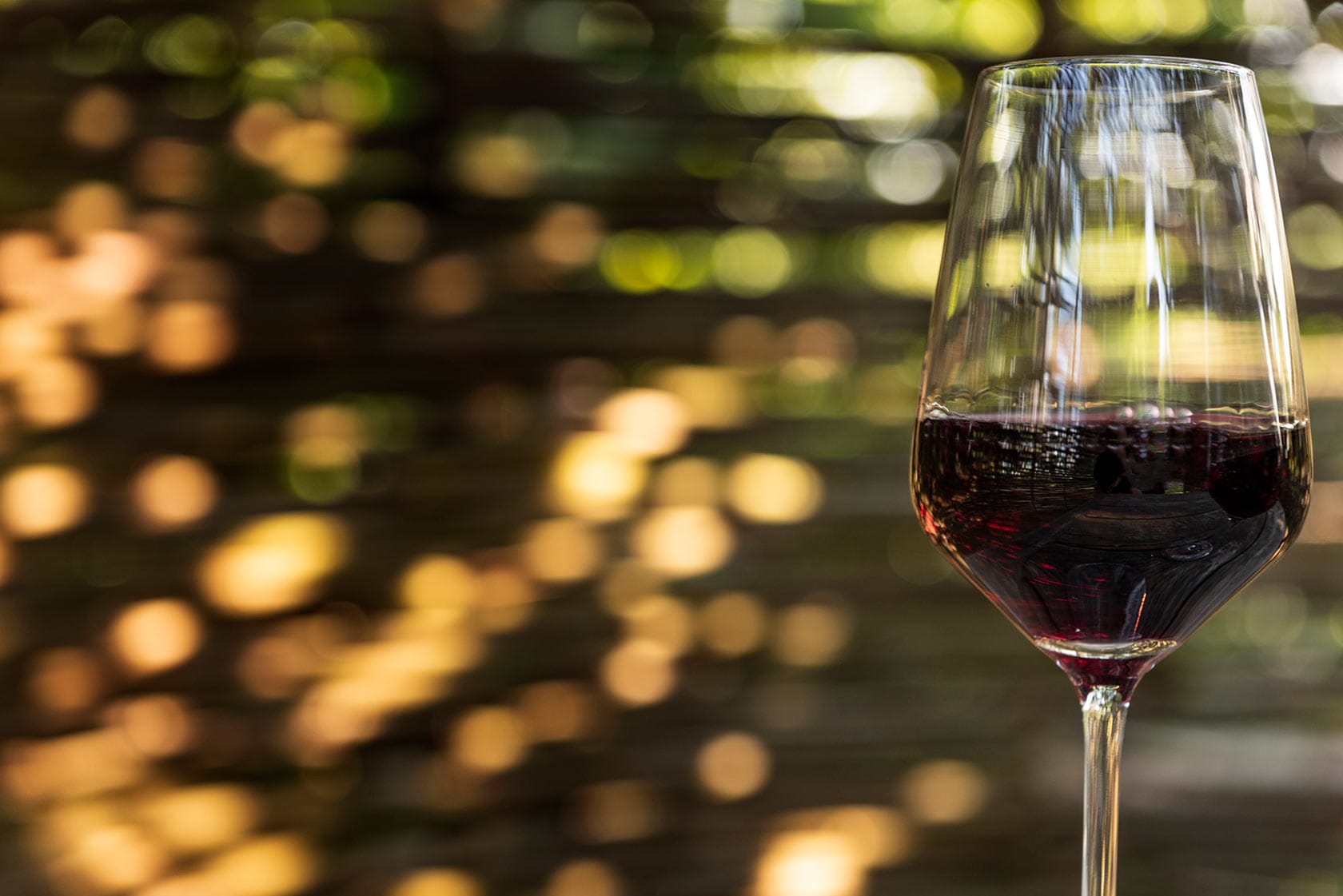 Vinchio Vaglio Experience - Image 6