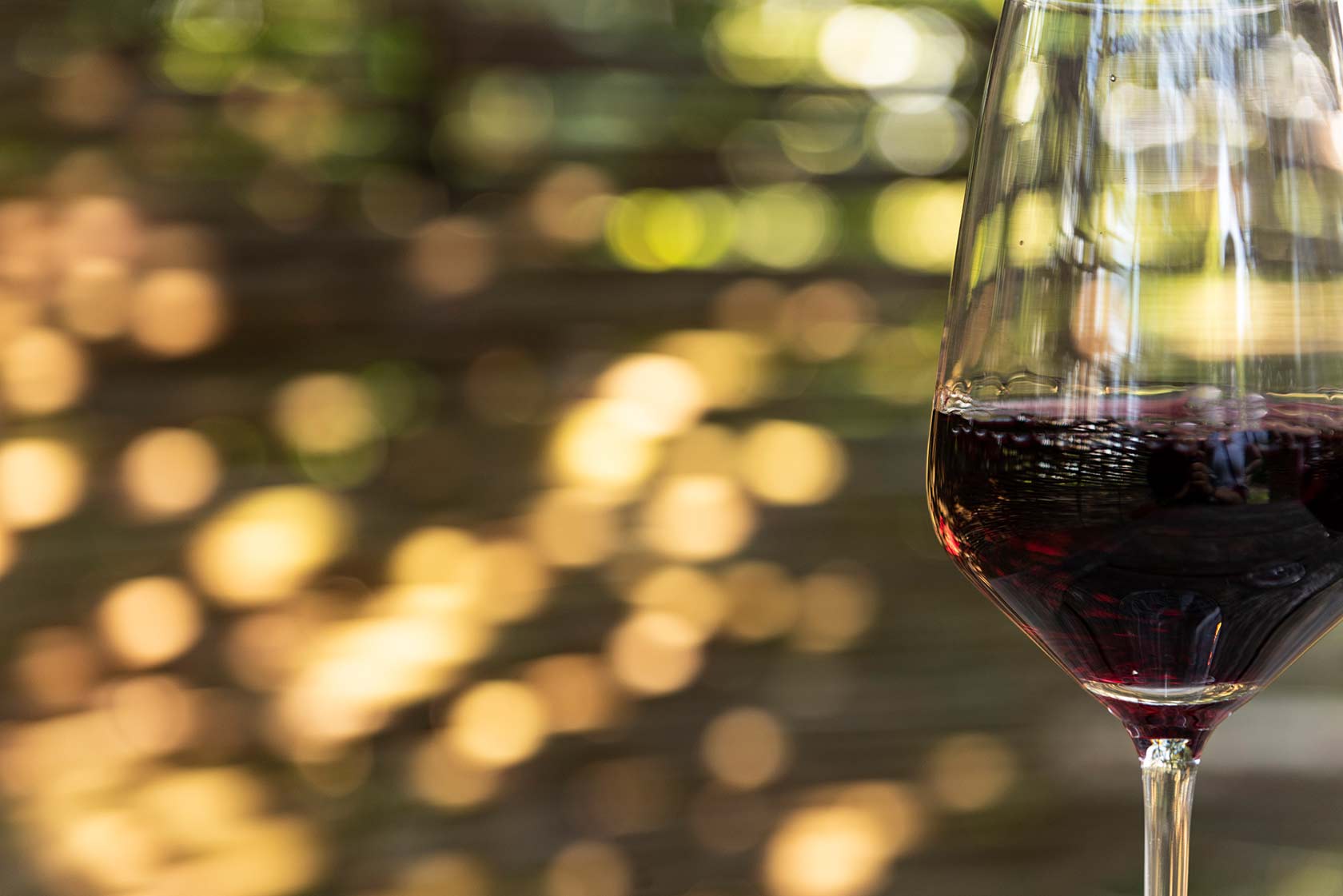 Vinchio Vaglio discovery tasting - Image 4