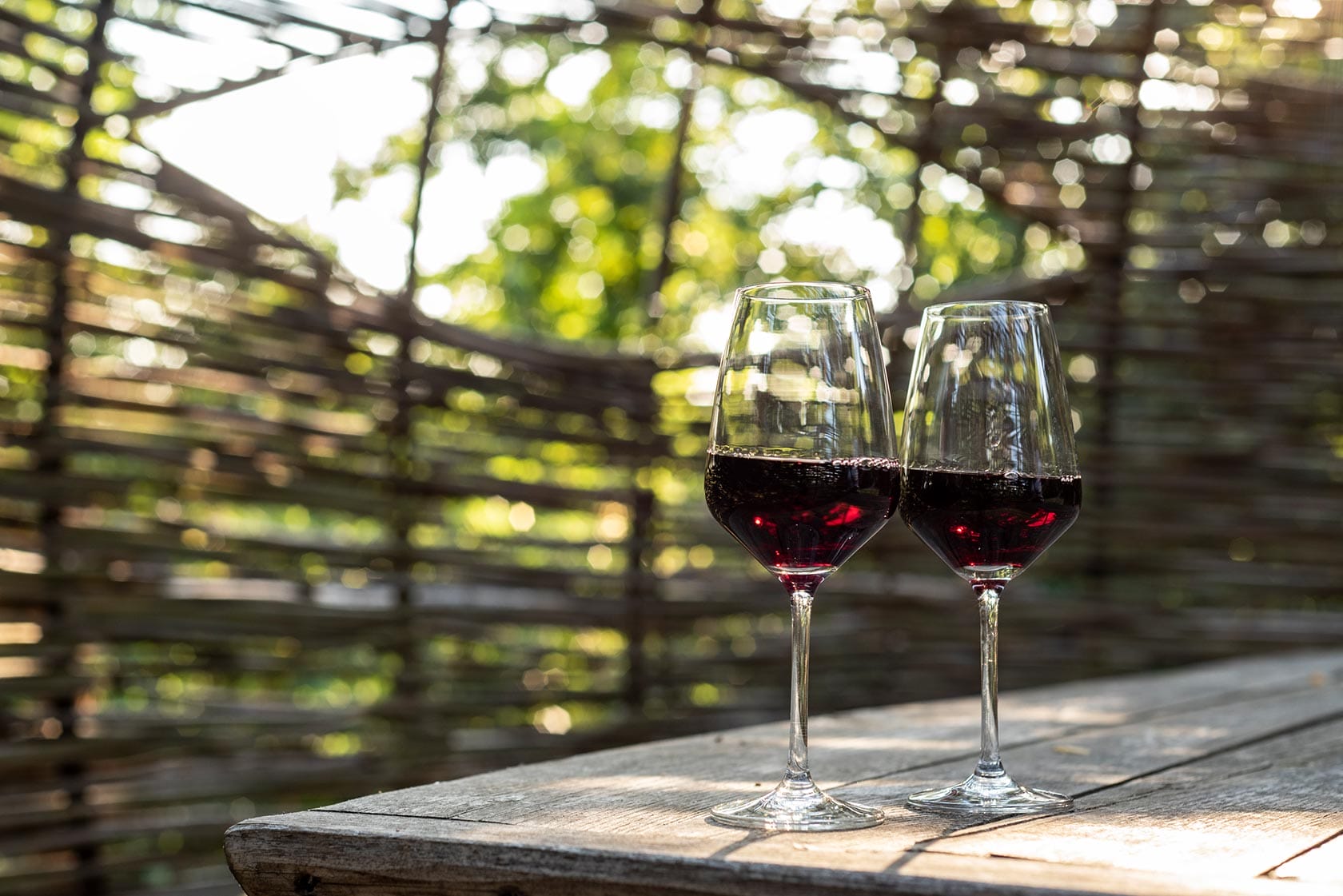 Vinchio Vaglio Experience - Image 2