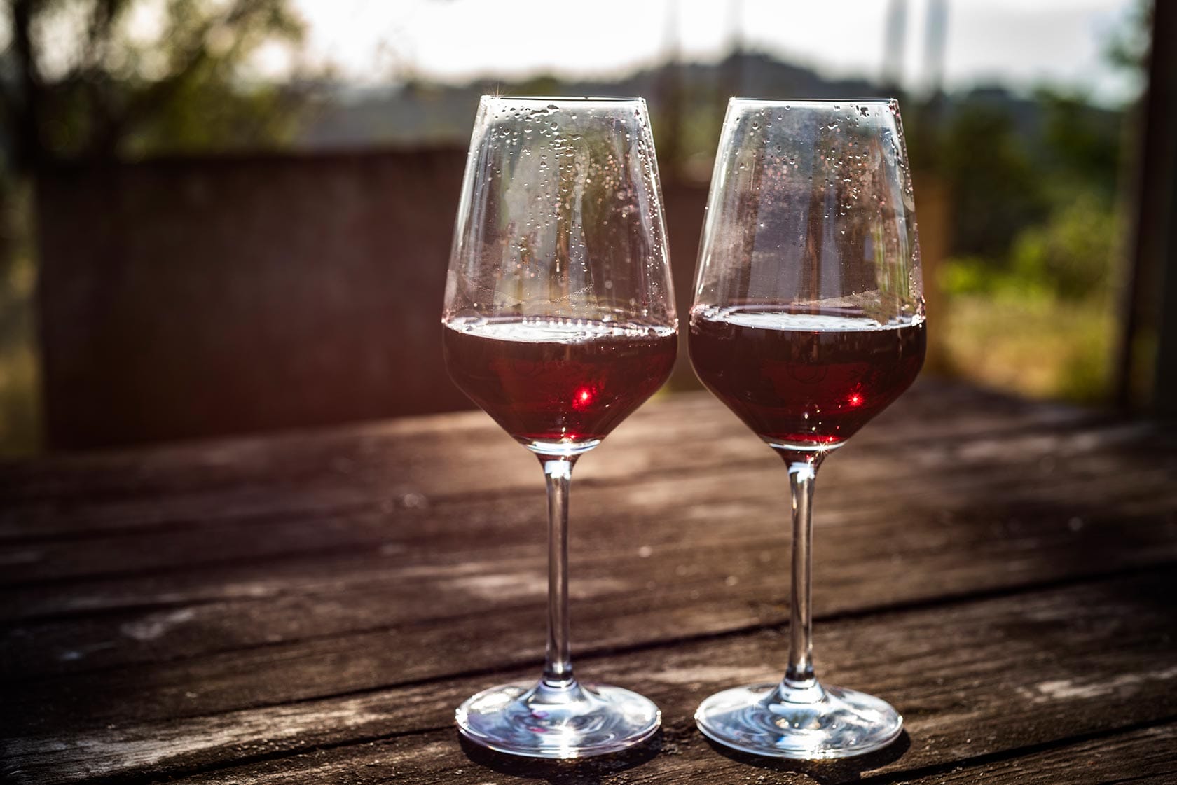 Vinchio Vaglio Experience - Image 5