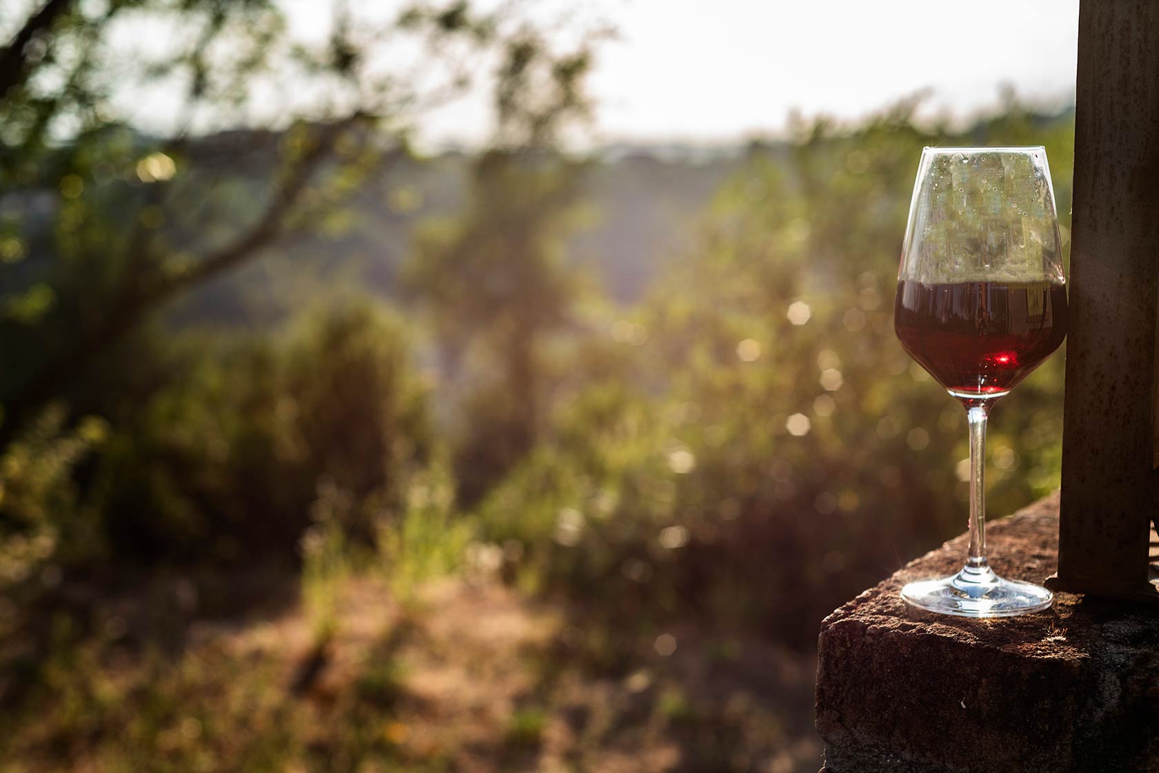 Vinchio Vaglio discovery tasting - Image 3