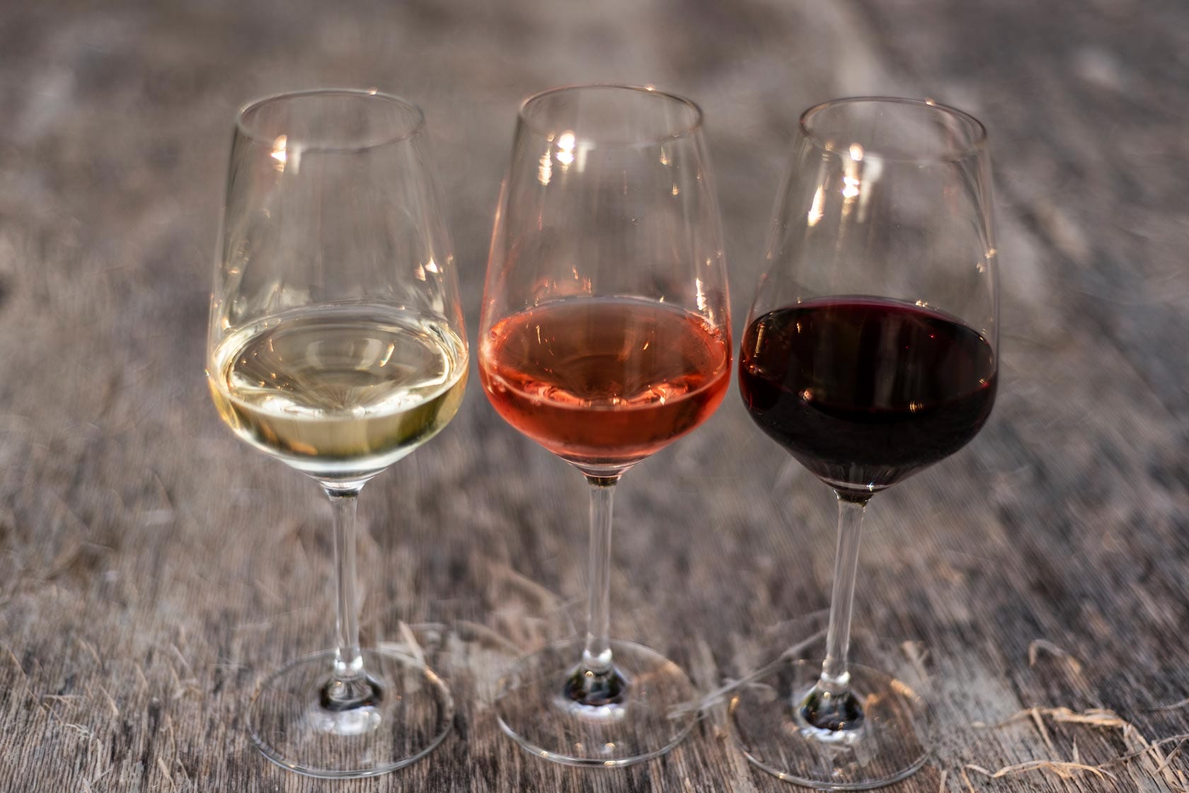 Vinchio Vaglio Experience - Image 4