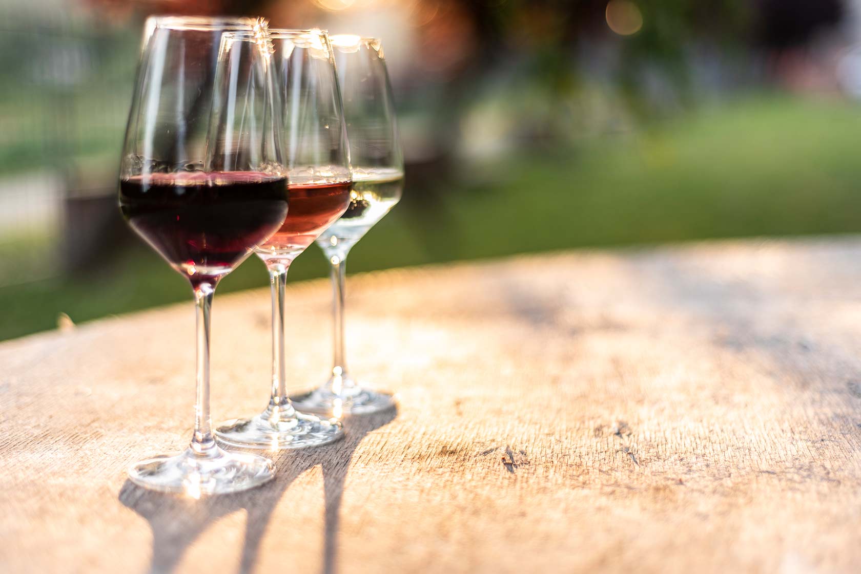 Vinchio Vaglio discovery tasting - Image 2