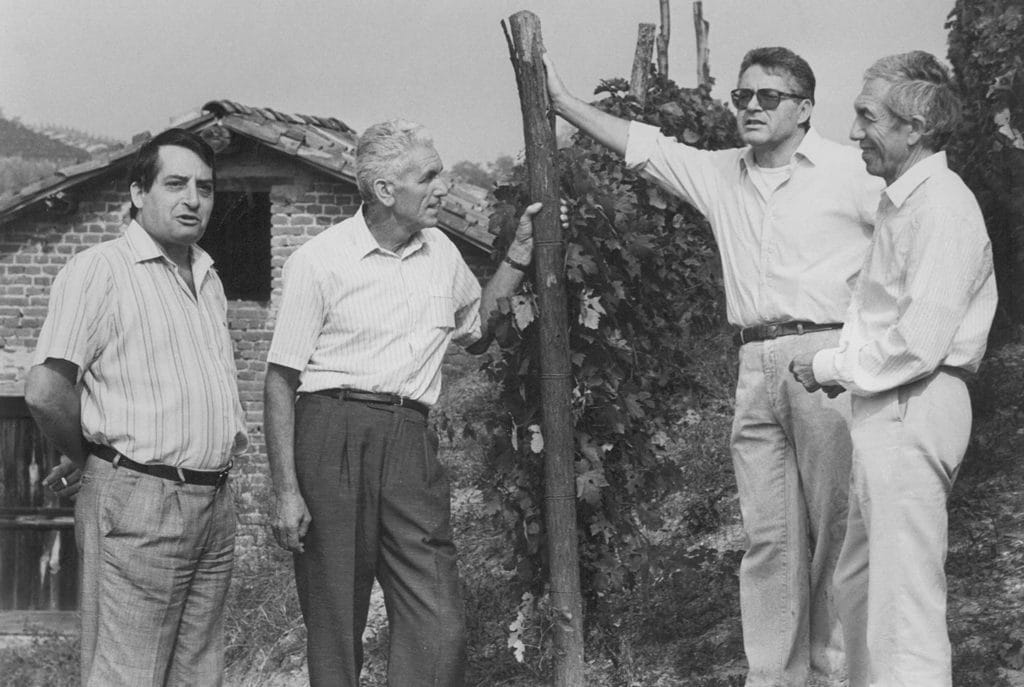 1987 - Nasce il progetto Vigne Vecchie