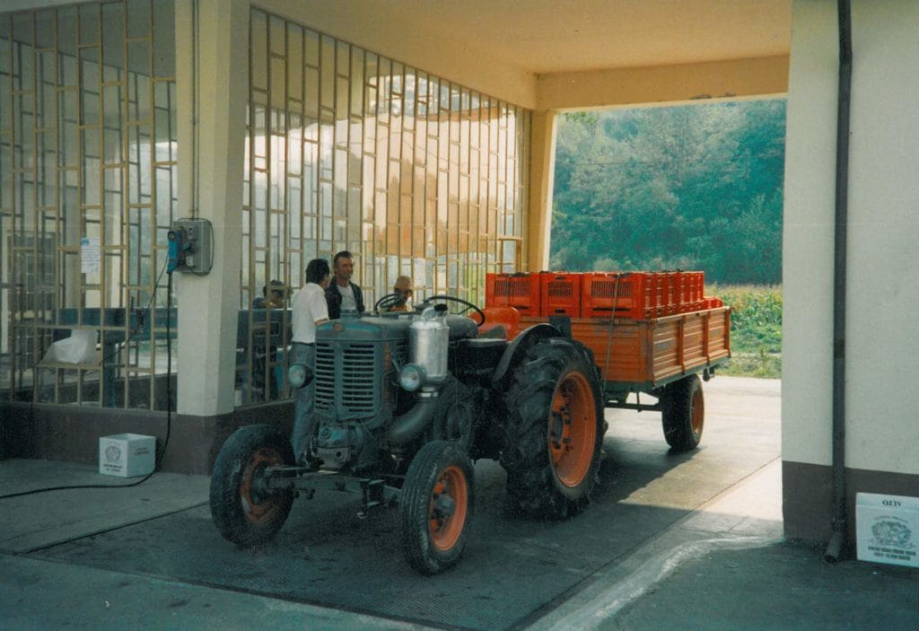 Anni 90 - Vendemmia