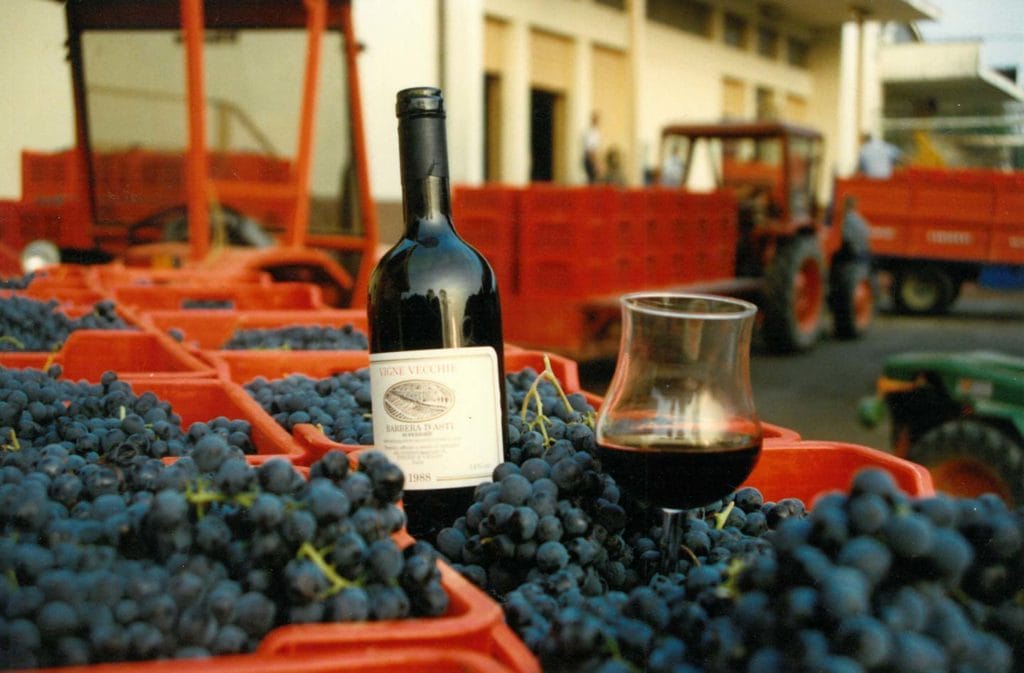 1988 - Vigne Vecchie
