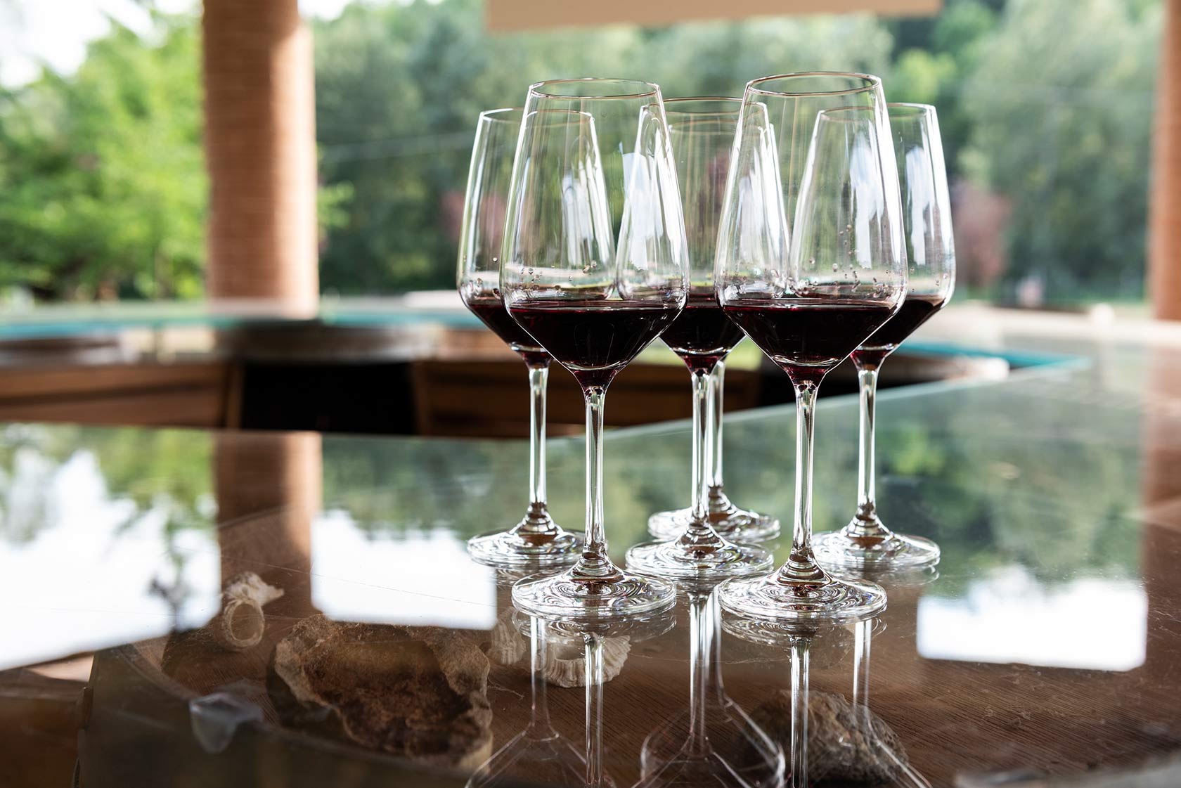 Barbera Flight - Image 4