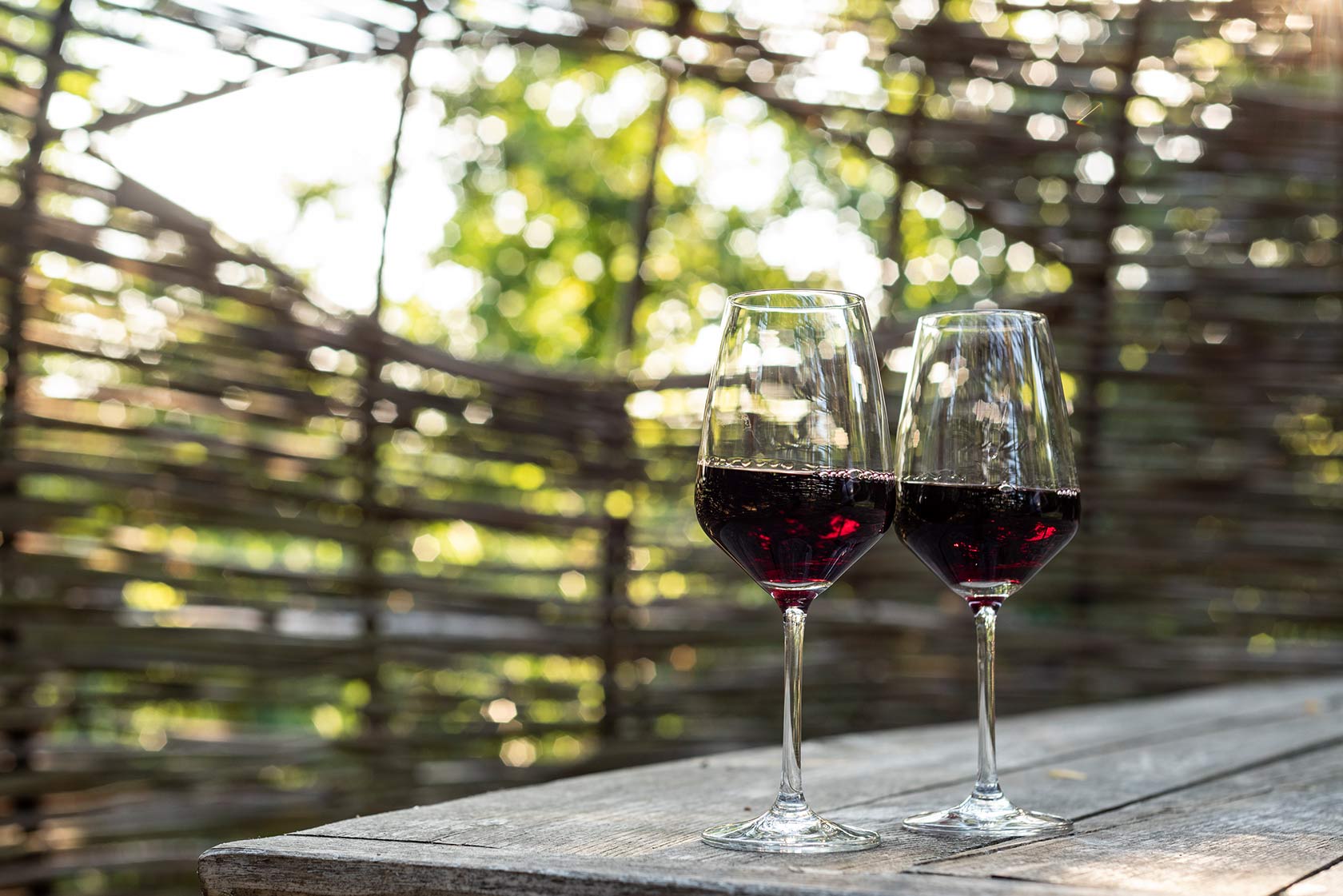 Barbera Flight - Image 7