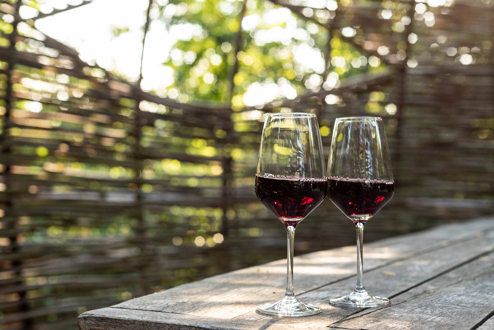 Indigenous grapes - Image 7