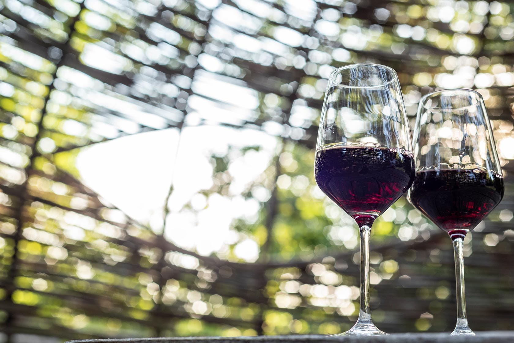 Barbera Flight - Image 6