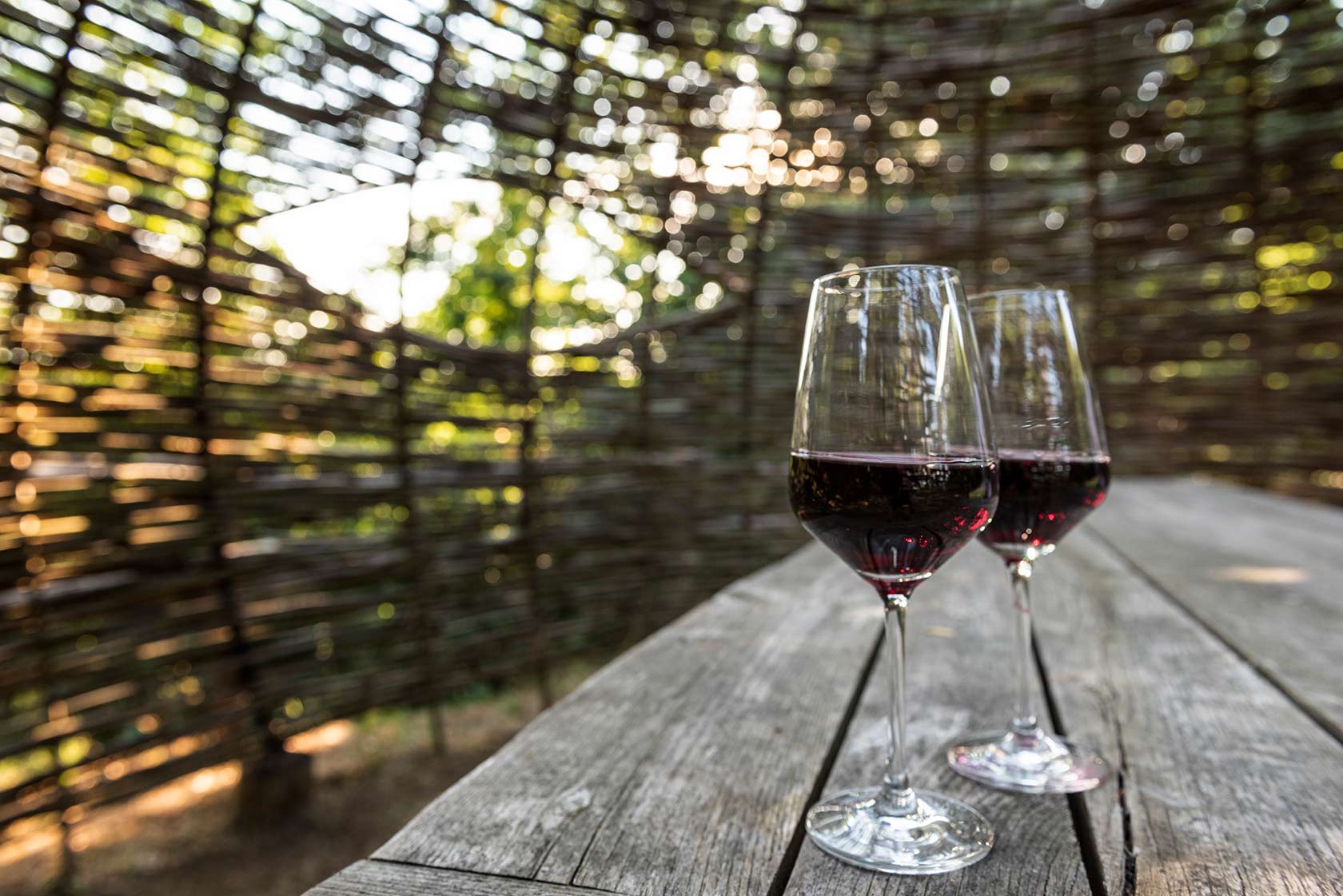 Barbera Flight - Image 5