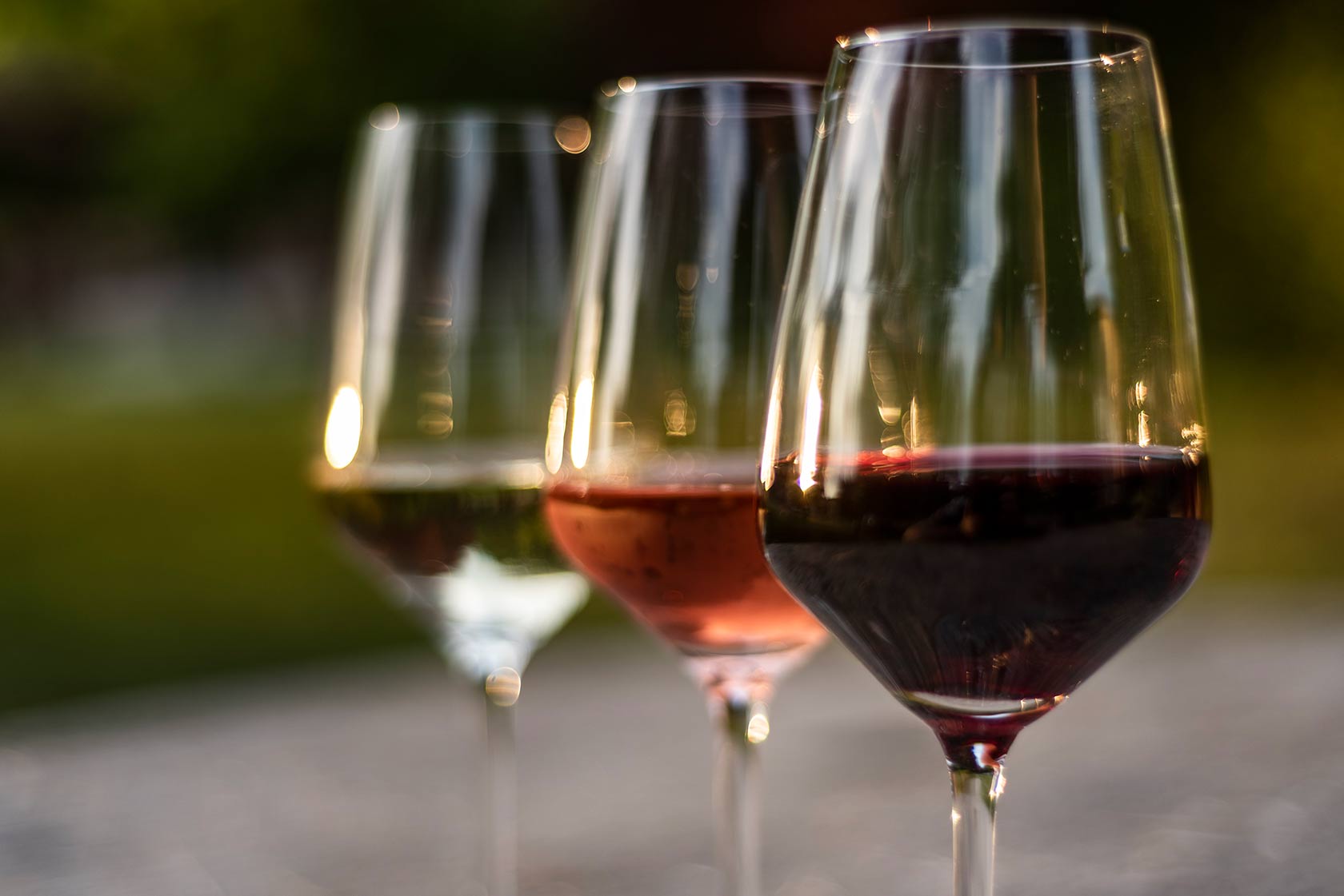 Indigenous grapes - Image 5