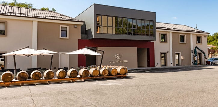 Cantina Cooperativa: quando il vino è unione