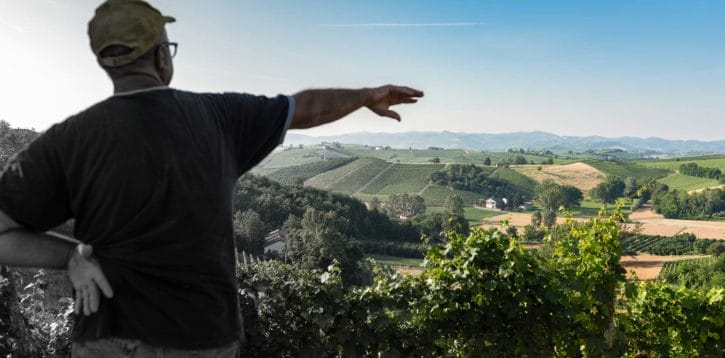 Il futuro del vino ha solide radici