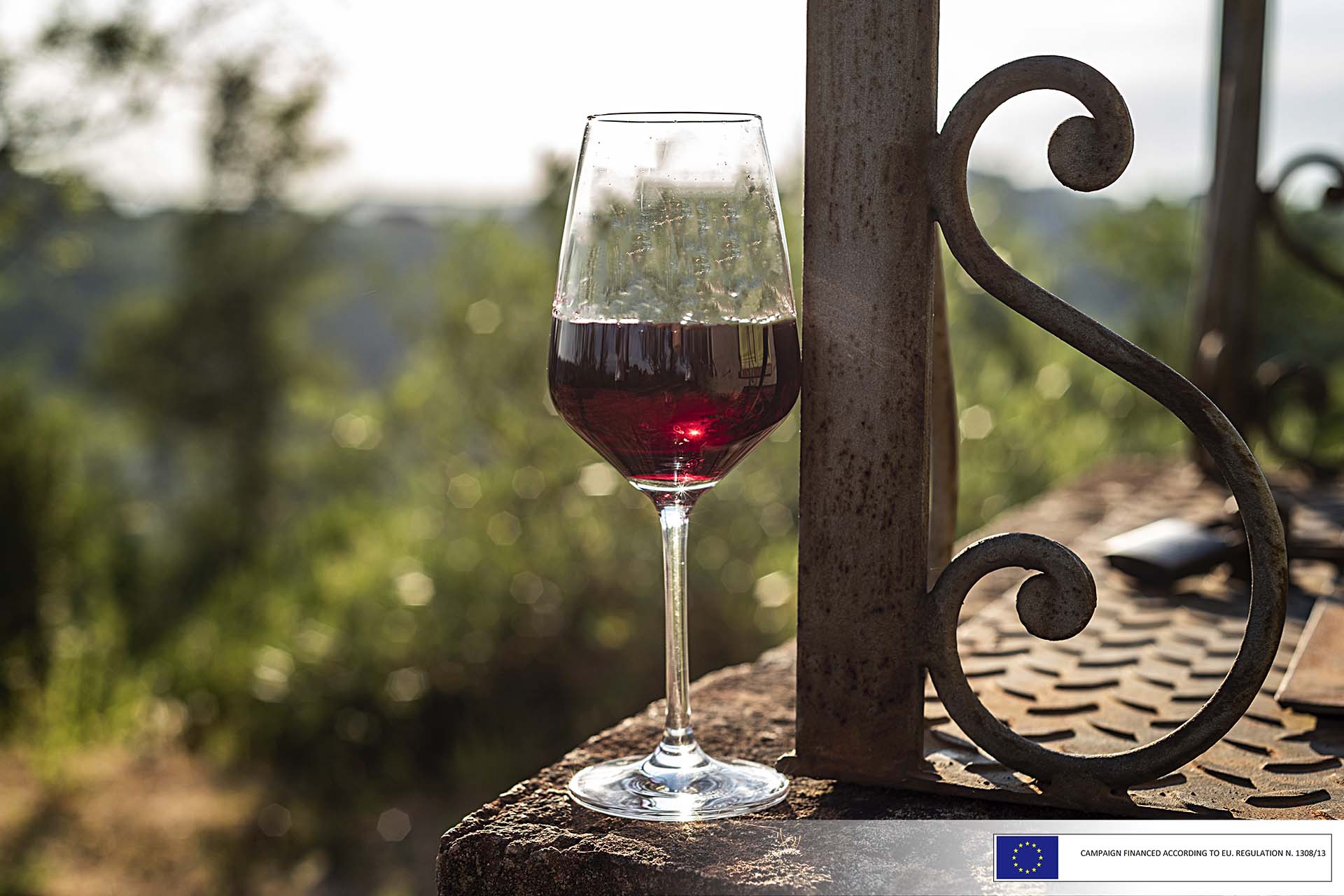 Nutritional education in a wine glass