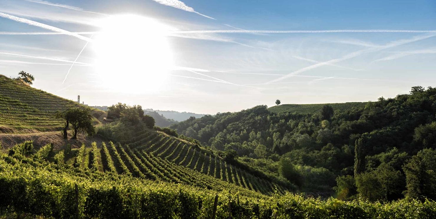 Monferrato: an intoxicating land!