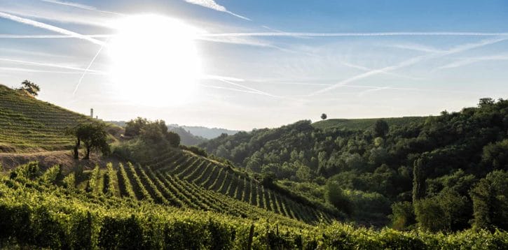 Monferrato: an intoxicating land!