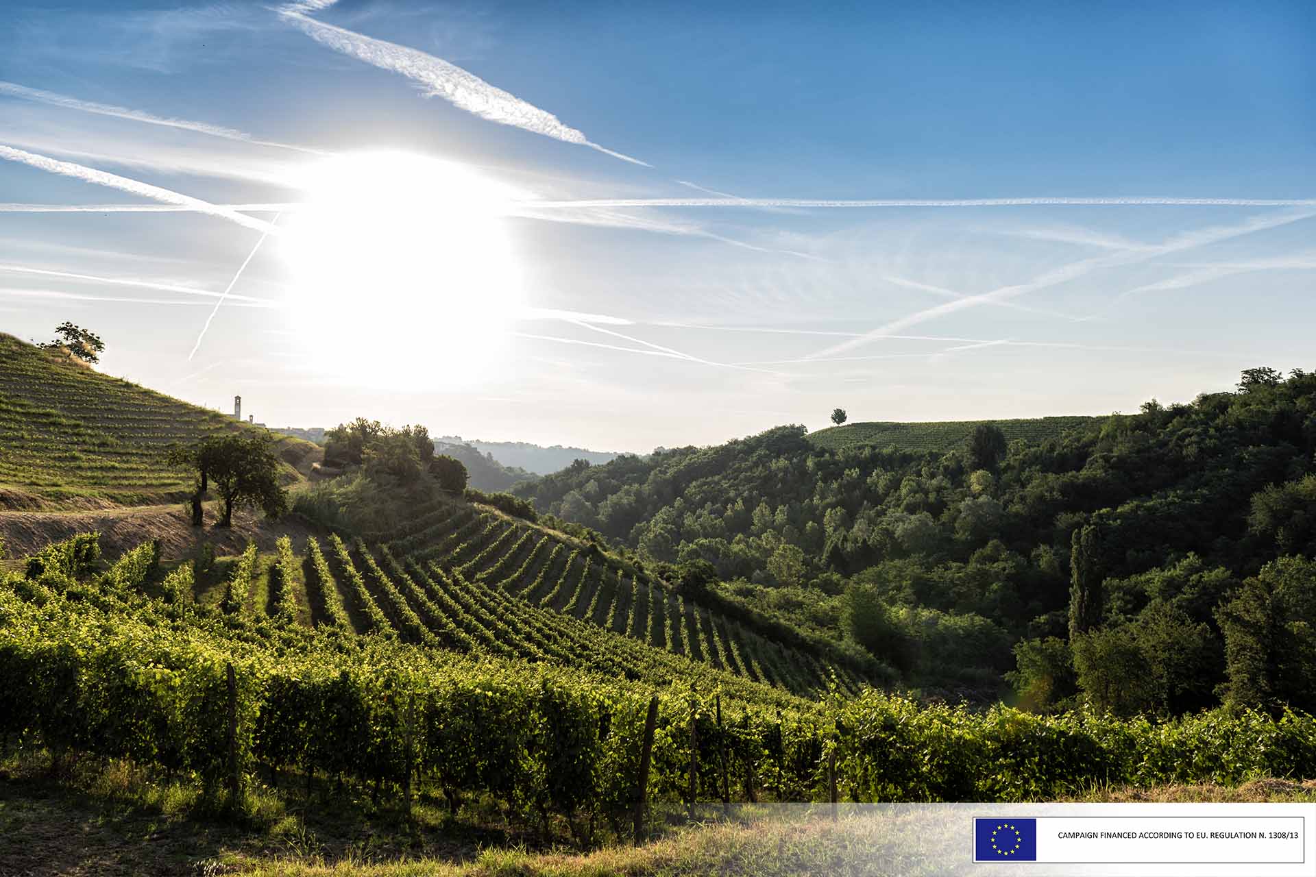 What to do in Monferrato