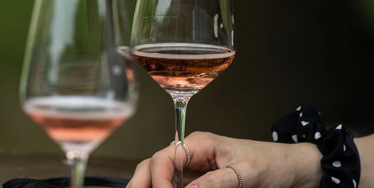 How to taste a wine at home? 