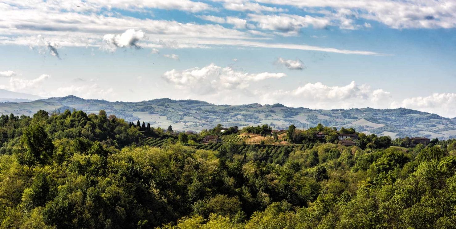 Val Sarmassa Nature Reserve: the “green sea”