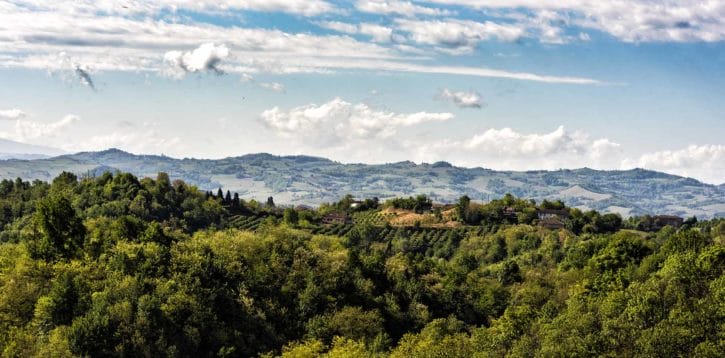 Val Sarmassa Nature Reserve: the “green sea”