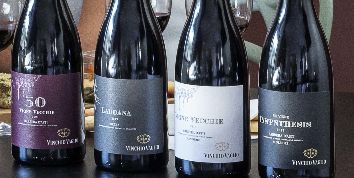 From the vineyard to the glass: how the best Barbera wines are born