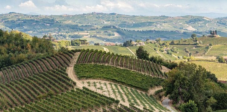 Bilancio di sostenibilità