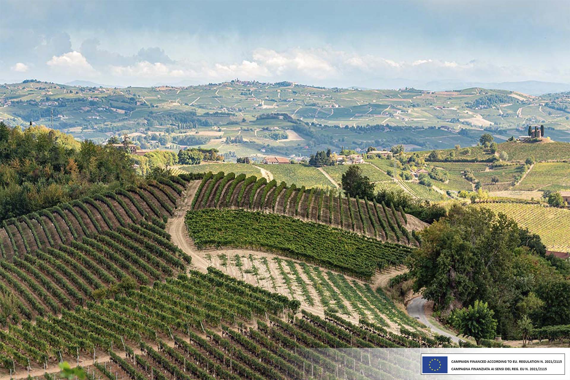 sustainability report