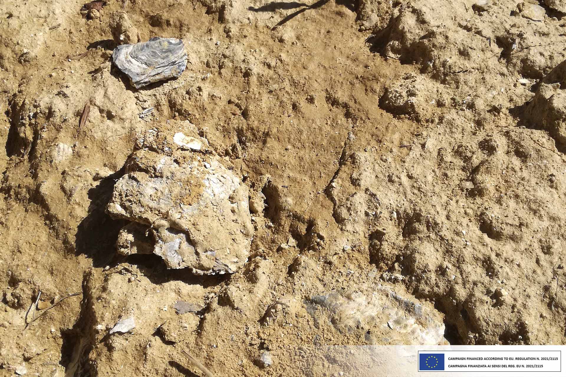 The soil of Vinchio Vaglio