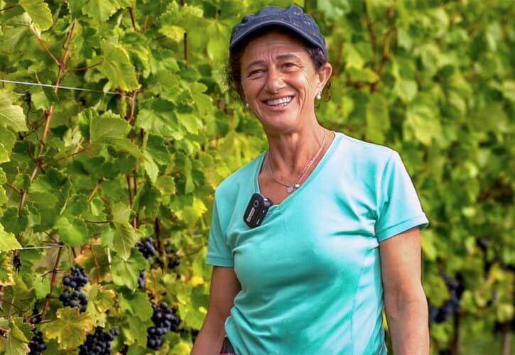 Storie di una calda giornata in vigna nel Monferrato