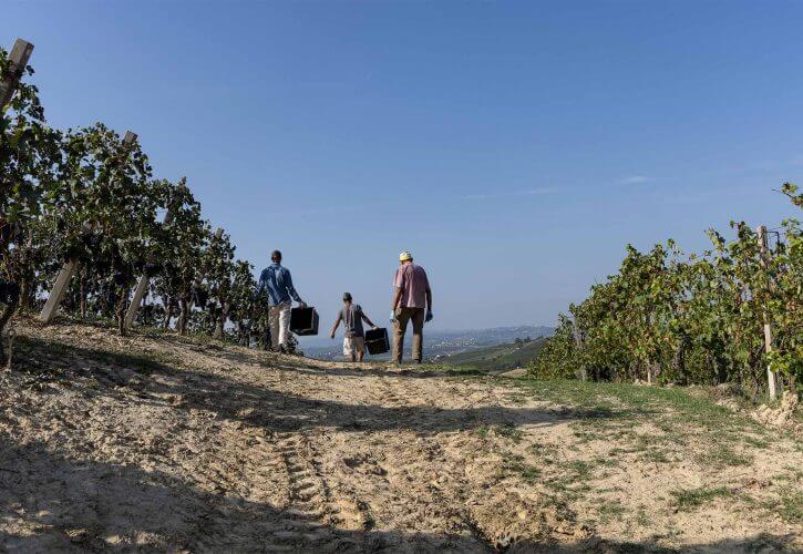 Custodire la terra, coltivare il futuro: il cammino sostenibile di Vinchio Vaglio