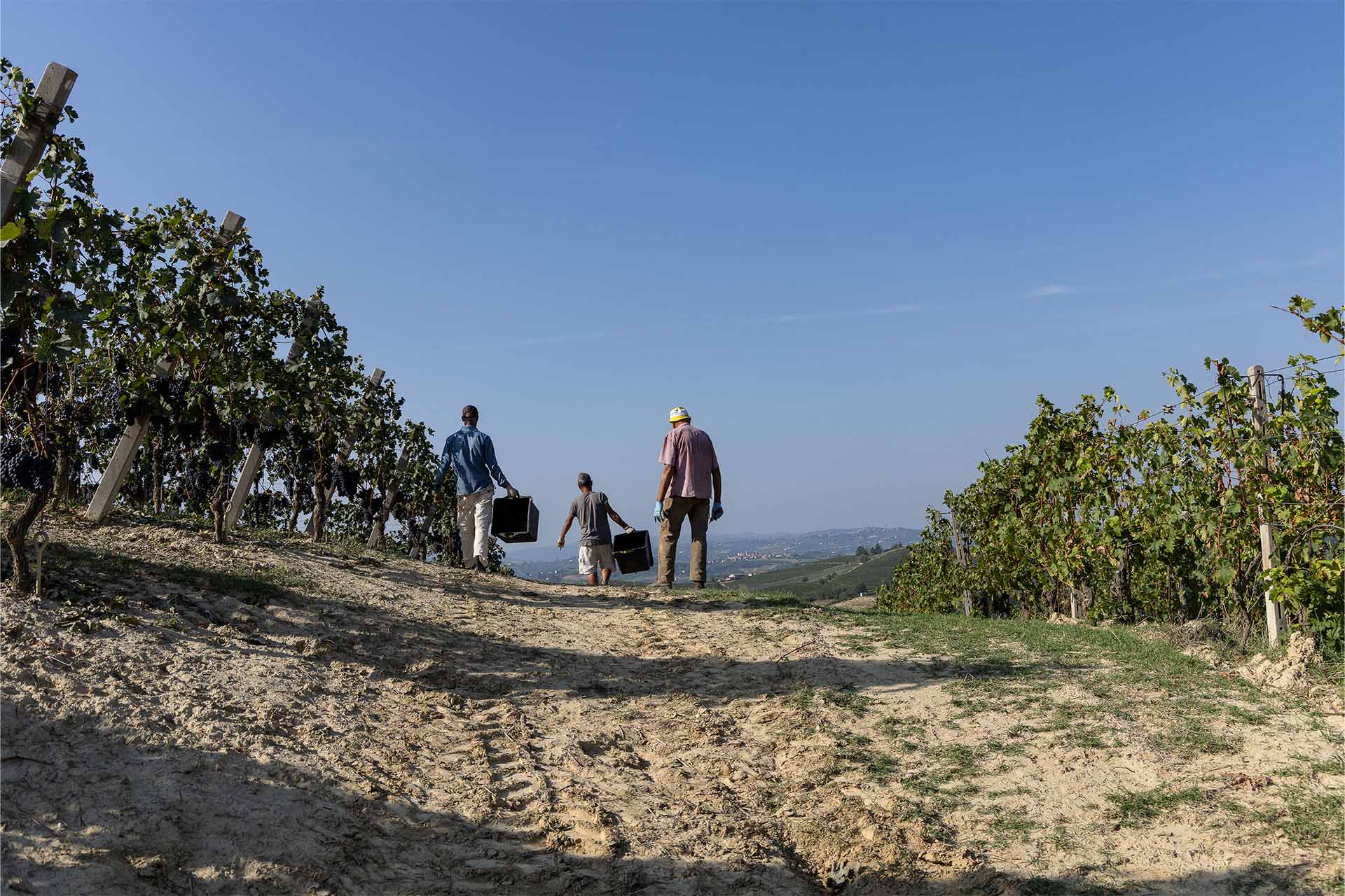 Cammino verso la sostenibilità