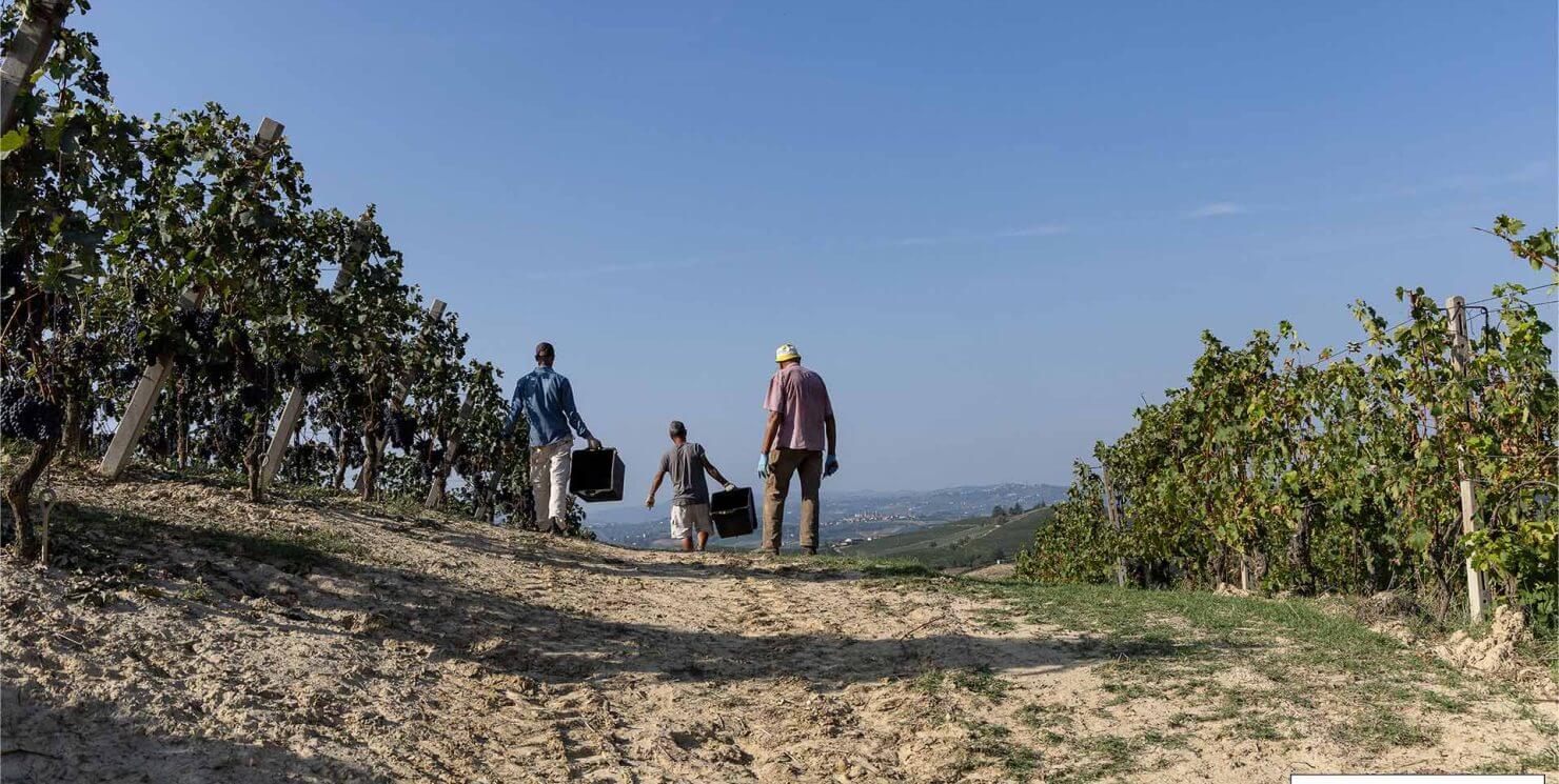 Protecting the land, cultivating the future: Vinchio Vaglio’s sustainable journey