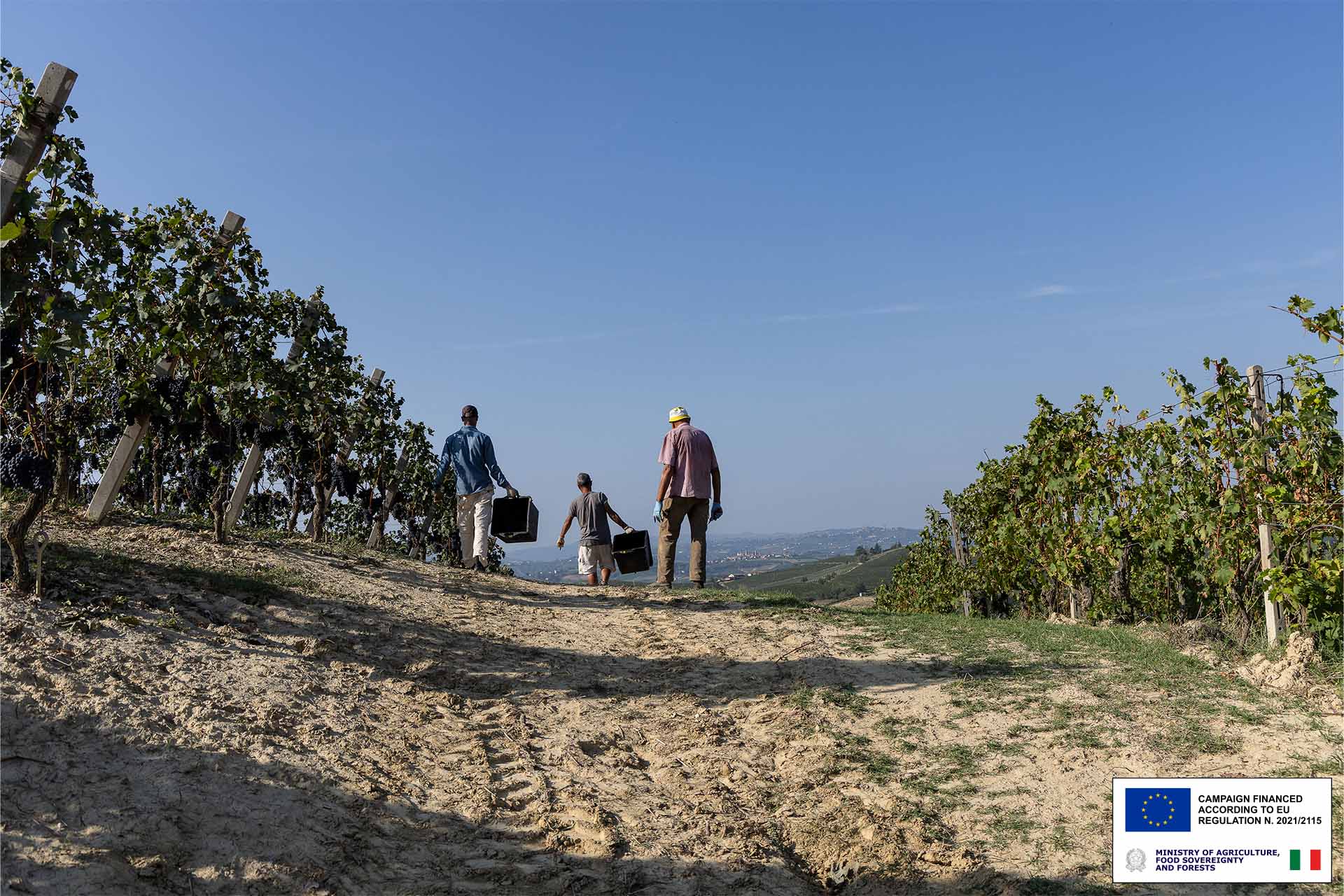 Vinchio Vaglio's sustainable journey