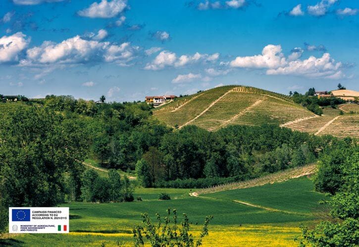Between vineyards and woodlands: the encounter that shapes Monferrato