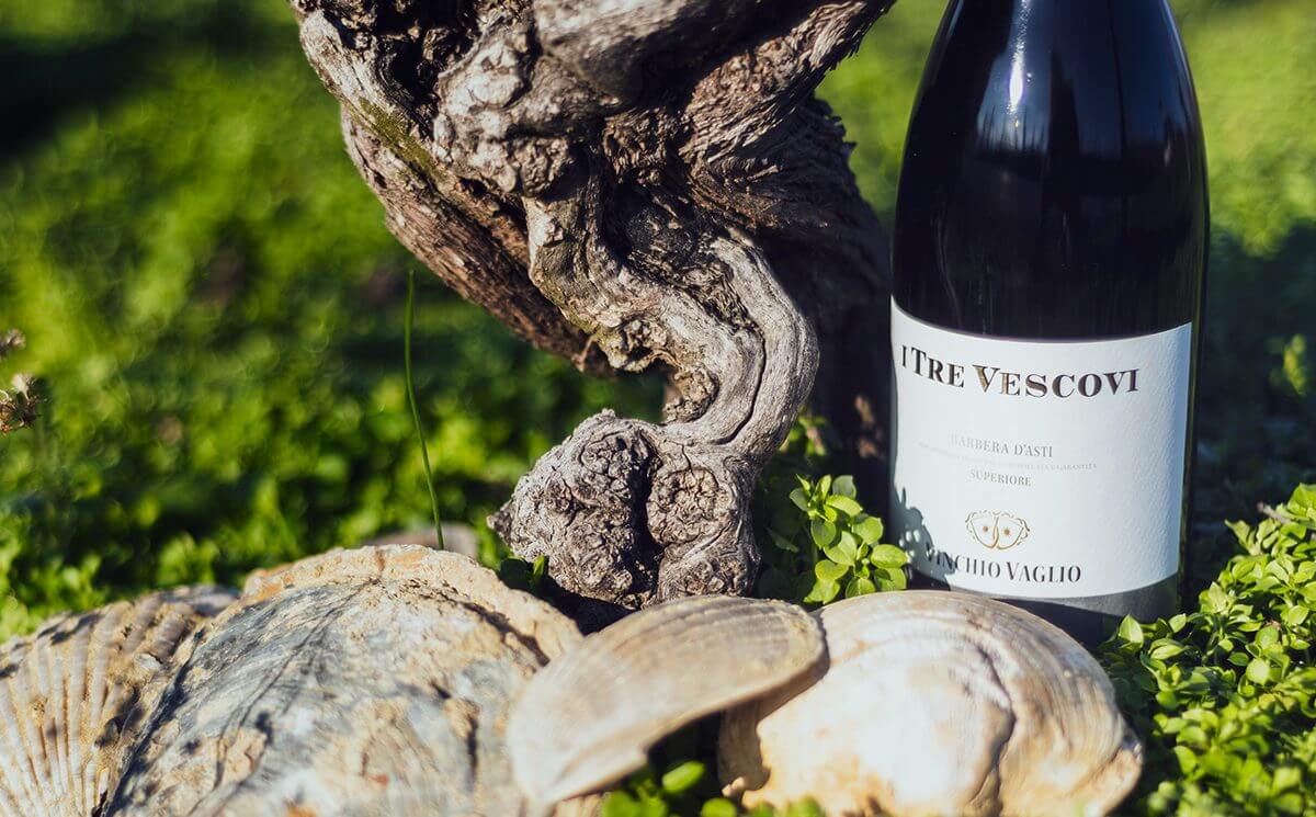 Storia, identità e carattere di una Barbera Superiore: i Tre Vescovi