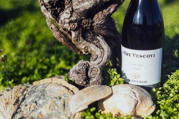 Barbera Superiore I Tre Vescovi