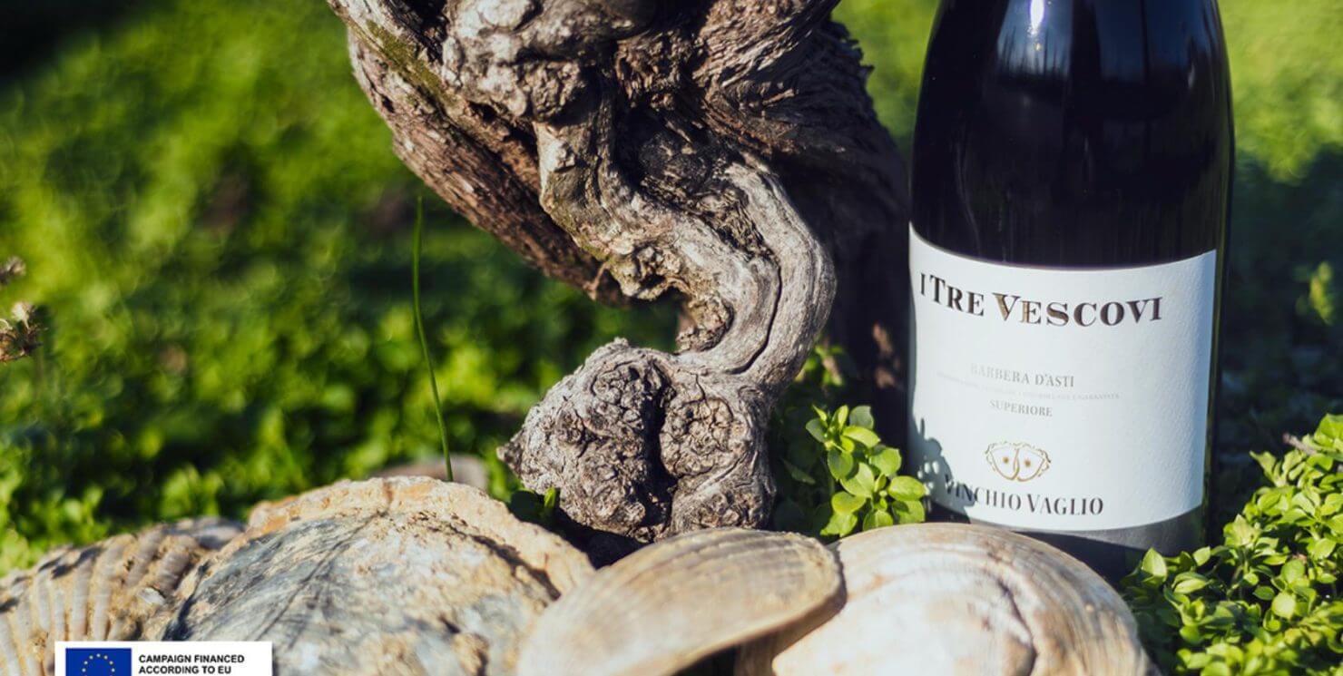 The History, Identity and Character of a Barbera Superiore: I Tre Vescovi