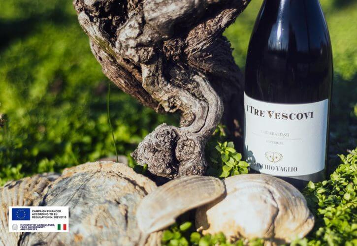 The History, Identity and Character of a Barbera Superiore: I Tre Vescovi