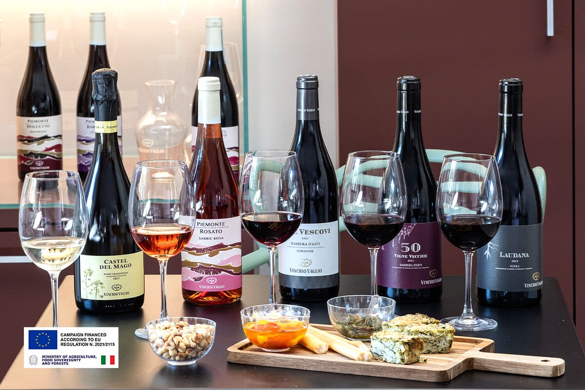 Wine tastings at the winery in Monferrato