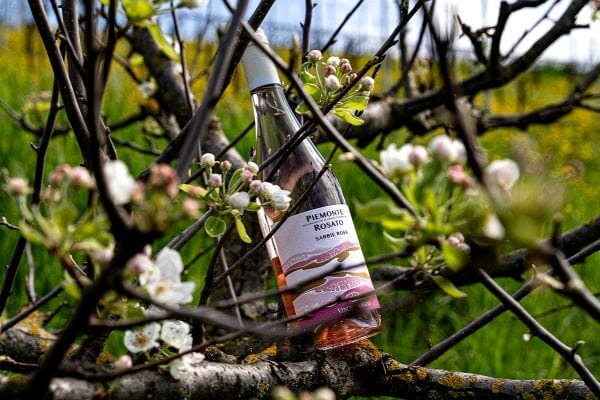 Rosato Piemonte DOC