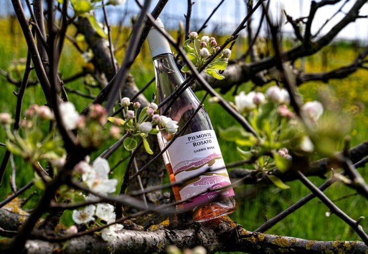 Piemonte DOC Rosato: la nuova fioritura del vino seducente e anticonvenzionale