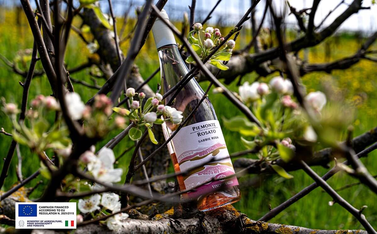 Piemonte DOC Rosato: the resurgence of a seductive and unconventional winePiemonte DOC Rosato