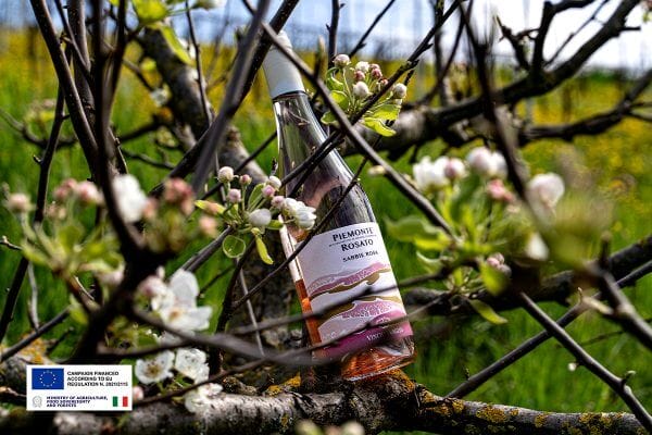 Piemonte-DOC-Rosato