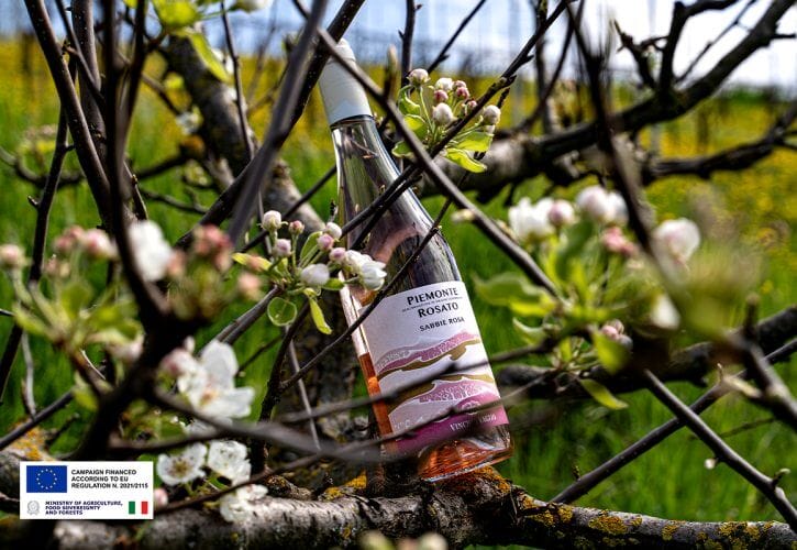 Piemonte DOC Rosato: the resurgence of a seductive and unconventional winePiemonte DOC Rosato