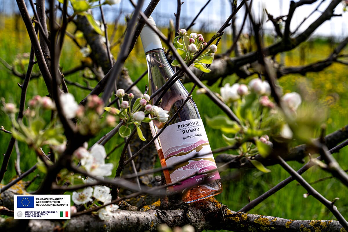 Piemonte-DOC-Rosato