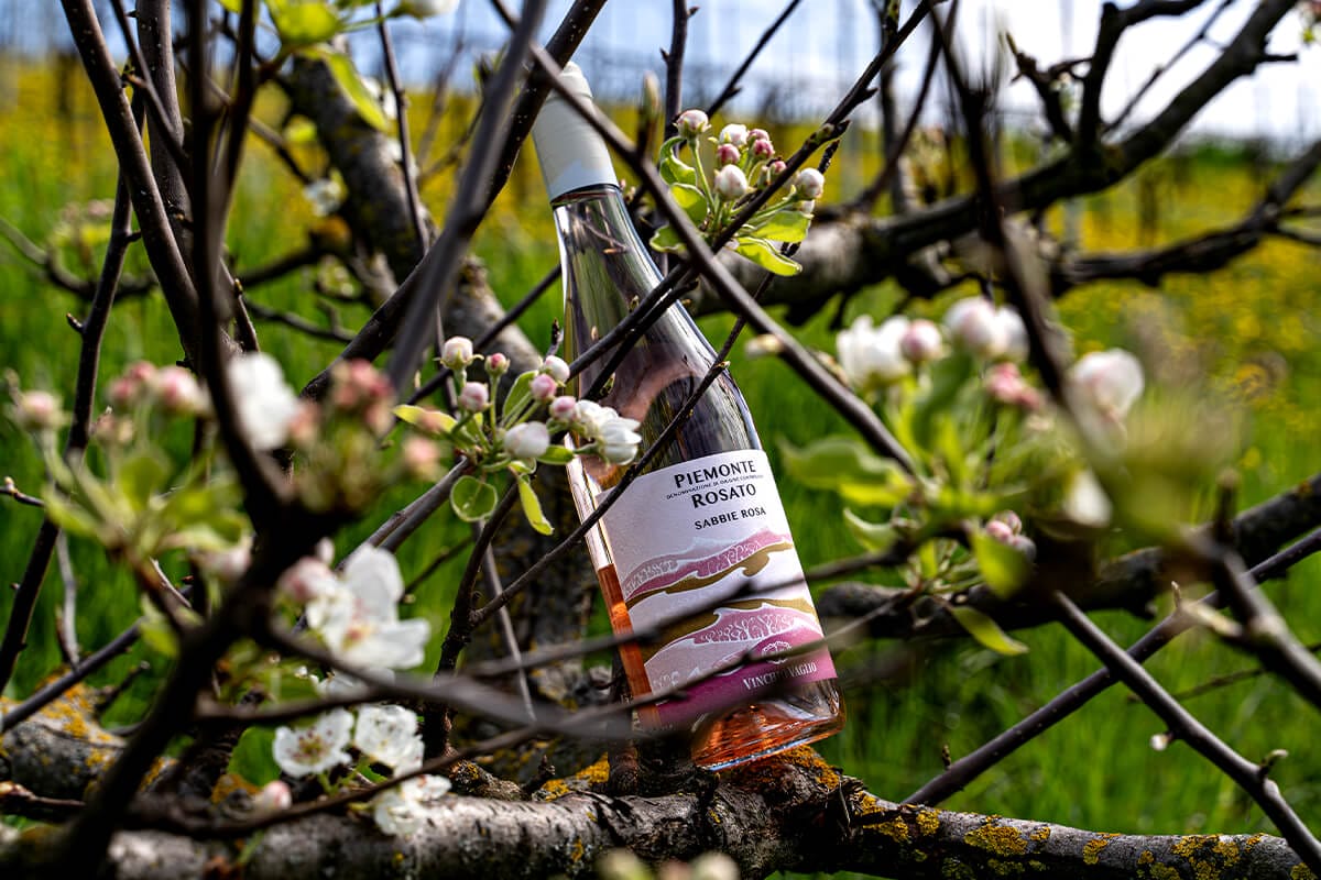 Rosato Piemonte DOC
